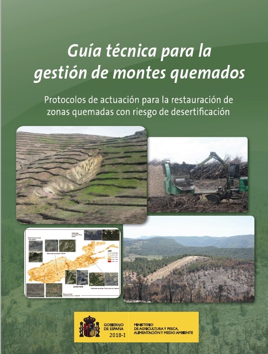 Guía técnica para la gestión de montes quemados