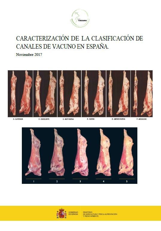 Caracterización de la clasificación de canales de vacuno en España