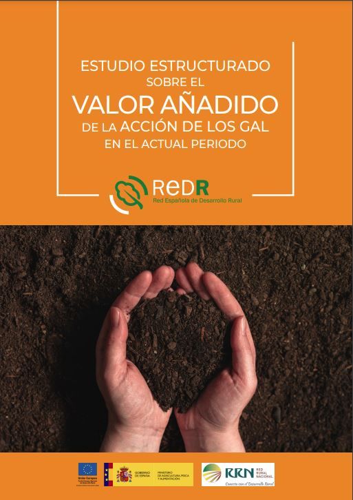 Estudio estructurado sobre el valor añadido de la acción de los GAL en el actual período