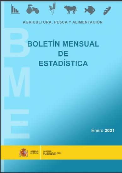Boletín Mensual de Estadística