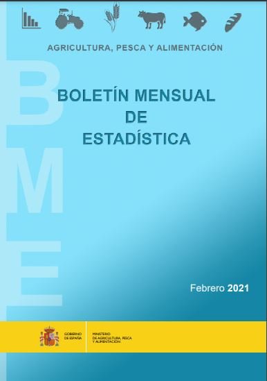 Boletín Mensual de Estadística