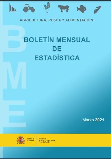 Boletín Mensual de Estadística