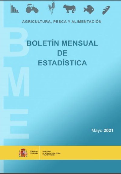 Boletín Mensual de Estadística