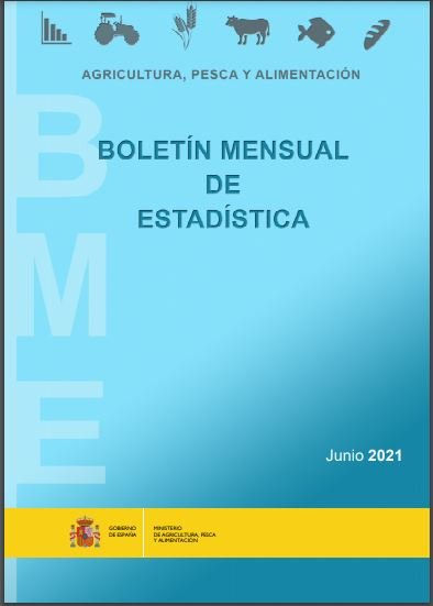 Boletín Mensual de Estadística