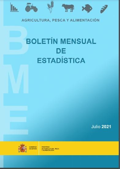 Boletín Mensual de Estadística