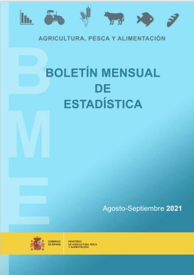 Boletín Mensual de Estadística