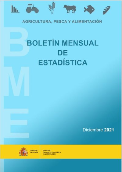 Boletín Mensual de Estadística