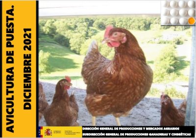 Informe Trimestral Indicadores del Sector Avicultura de Puesta