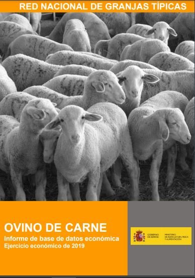 RENGRATI : Informe de Resultados Económicos : Ovino de Carne