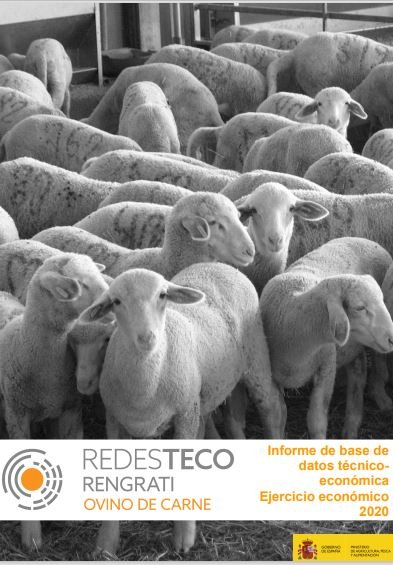 RENGRATI : Informe de Resultados Económicos : Ovino de Carne