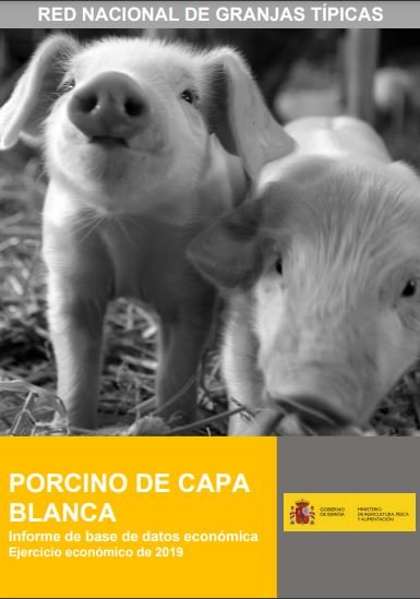 RENGRATI : Informe de Resultados Económicos : Porcino de Capa Blanca