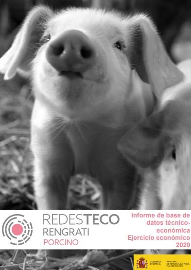 RENGRATI : Informe de Resultados Económicos : Porcino de Capa Blanca