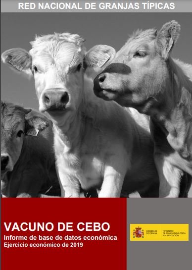 RENGRATI : Informe de Resultados Económicos : Vacuno de Cebo