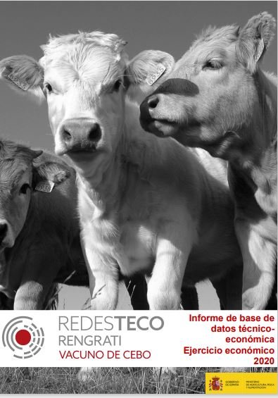 RENGRATI : Informe de Resultados Económicos : Vacuno de Cebo